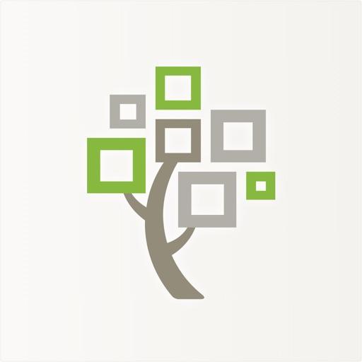 Family Tree